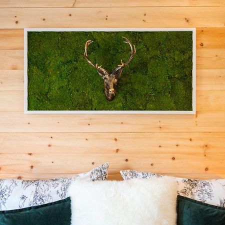Вилла Haus Am Wald Бад-Шандау Экстерьер фото