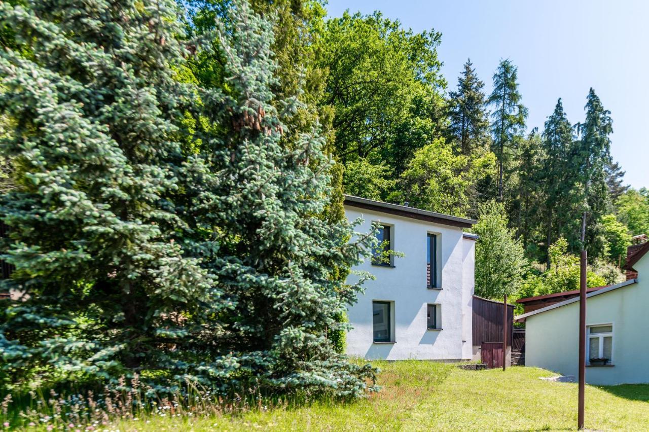 Вилла Haus Am Wald Бад-Шандау Экстерьер фото