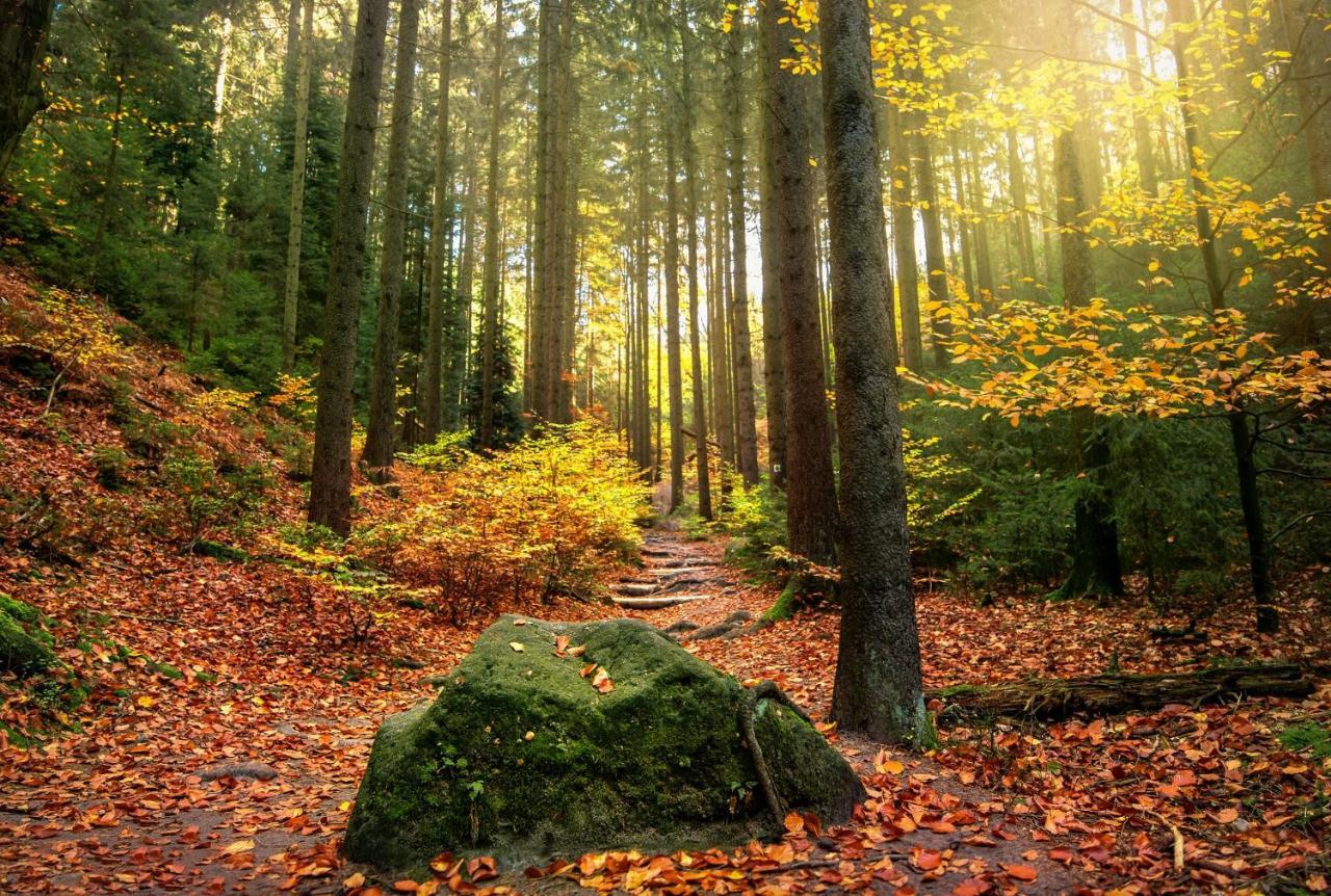Вилла Haus Am Wald Бад-Шандау Экстерьер фото